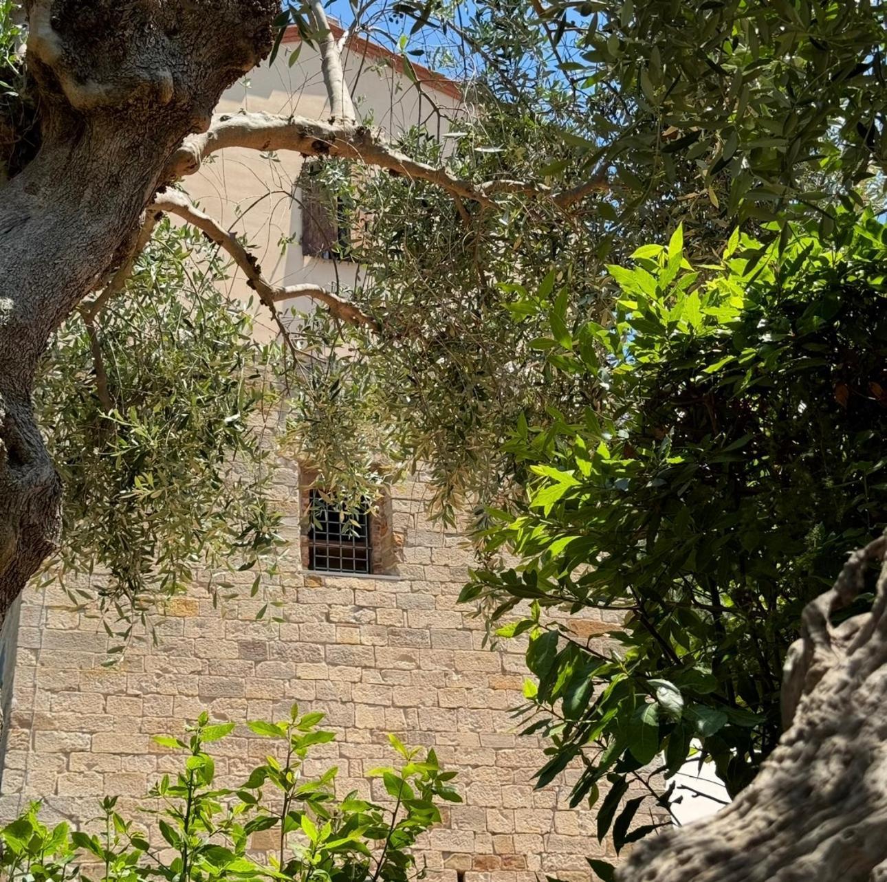 Madonna Del Poggio Cav Aparthotel Scarlino Bagian luar foto