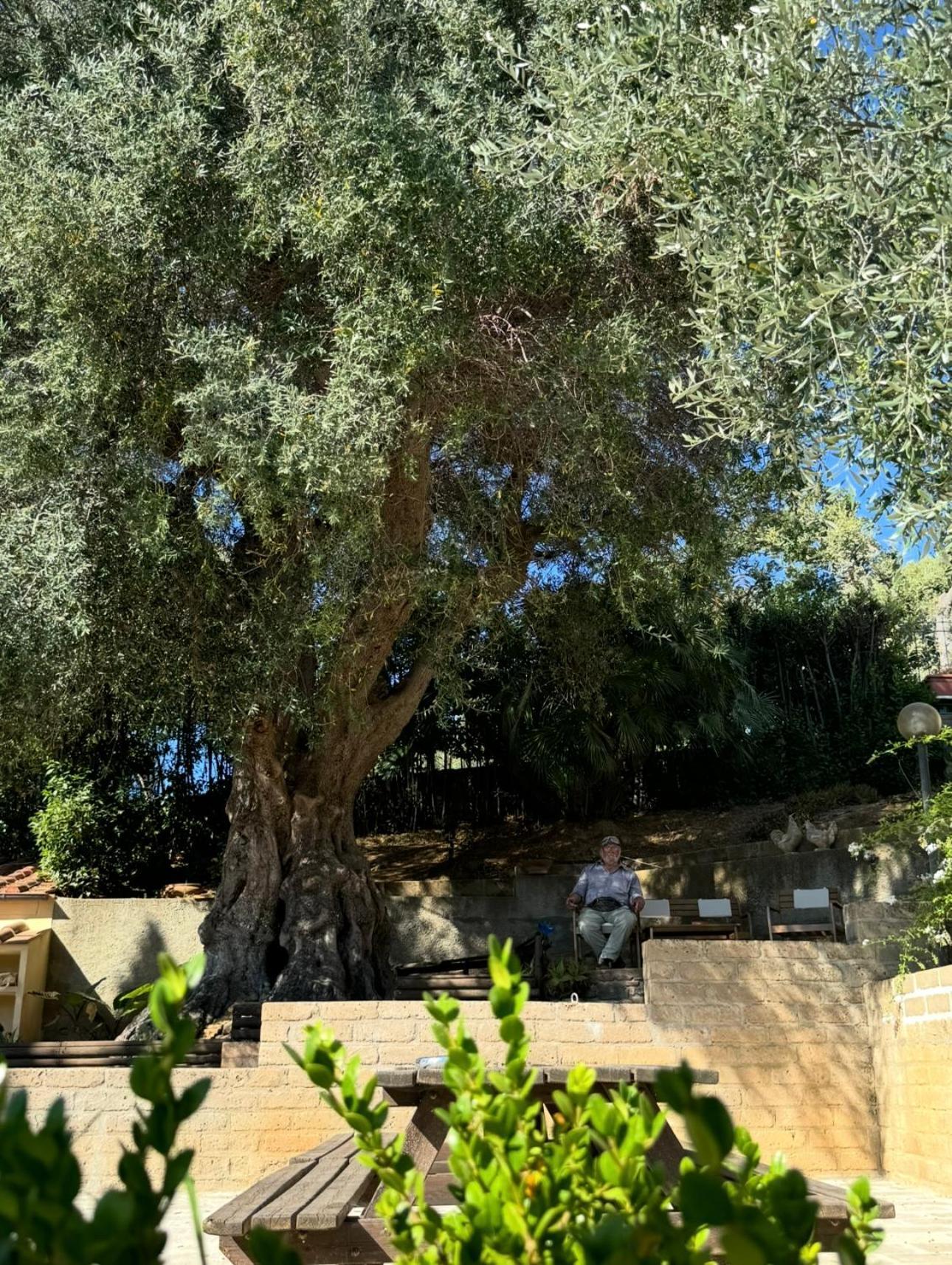 Madonna Del Poggio Cav Aparthotel Scarlino Bagian luar foto